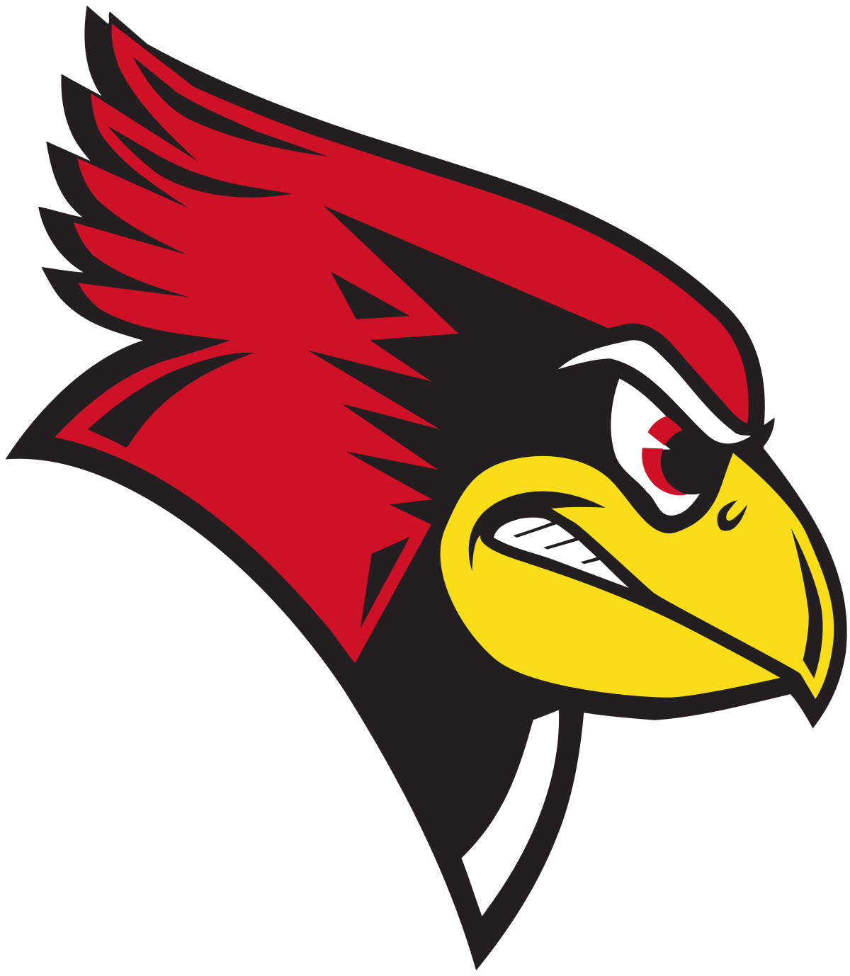 www.redbirdfan.net