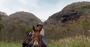 horse mule GIF by CBS